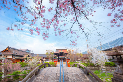 Rokusonno shrine built in 963, enshrines MInamota no Tsunemoto the 6th grandson of Emperor Seiwa. It's one of the best cherryblossom viewing spots in Kyoto photo