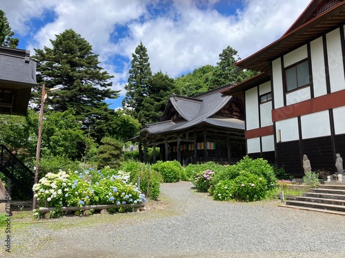 japanese garden