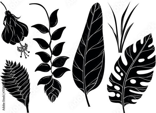 Set of silhouettes of jungle leaves and flowers photo