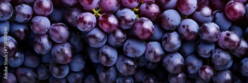 background grape ripe bunch