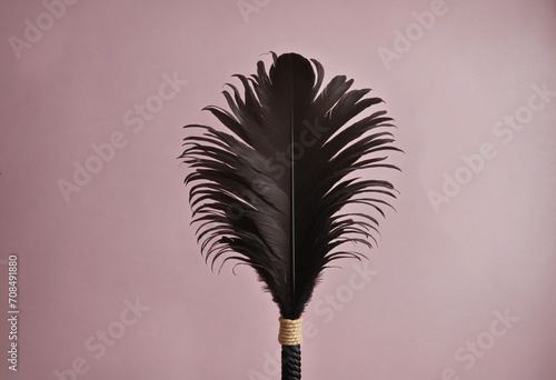 Black paddle, gag, rope, and feather tickler arranged on red background from above