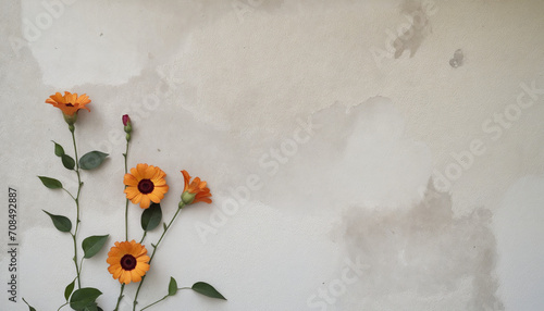 Floral pattern on vintage white wall, digital wallpaper or tile design