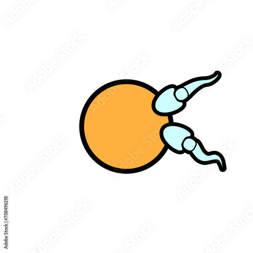 vector illustration depicting egg and sperm cells in the process of fertilization