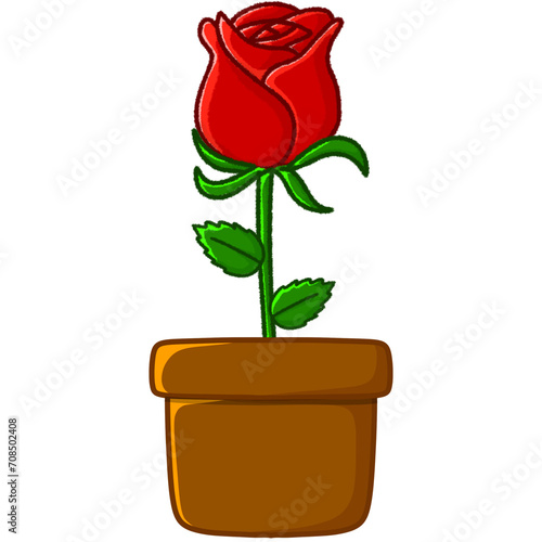 red rose in a vase