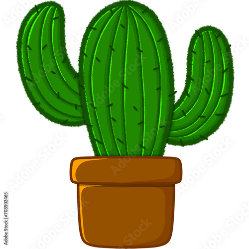 cactus in a pot