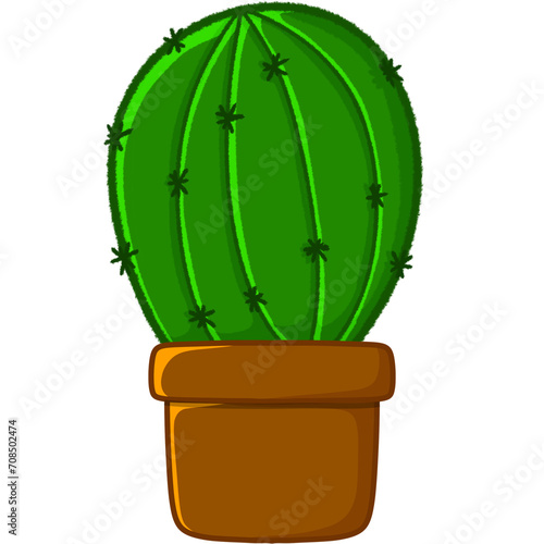 cactus in a pot