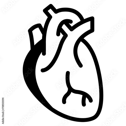 heart organ human