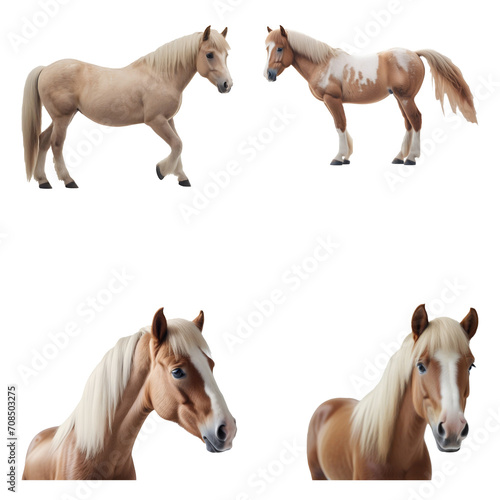 Beautiful Pony set isolated on a white background. Generative AI