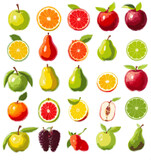 Vector collection of summer fruits