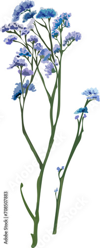 Flower  watercolor illustration on transparent background.
