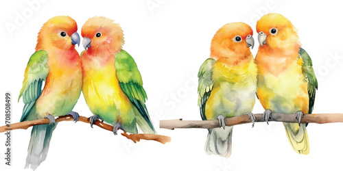 cute Watercolor A pair of Lovebirds