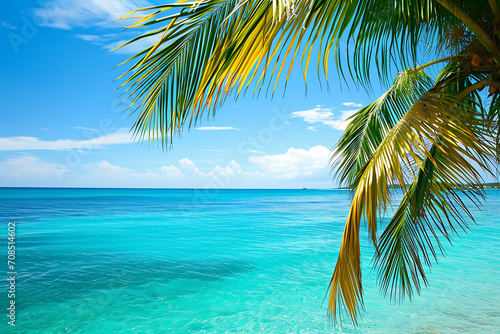 beautiful view of the turquoise sea with a palm tree in sunny day