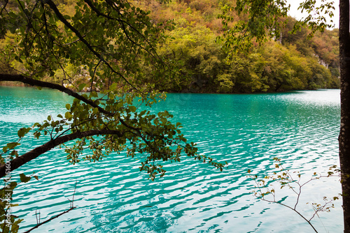 Fototapeta Naklejka Na Ścianę i Meble -  emerald water in the lake
