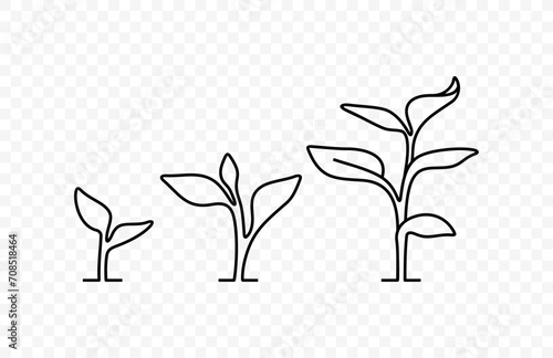 Line drawing of small tree growing vector design. Line art illustration young sprout on transparent background