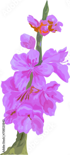 Fototapeta Naklejka Na Ścianę i Meble -  Flower  watercolor illustration on transparent background.
