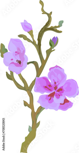 Flower  watercolor illustration on transparent background. 