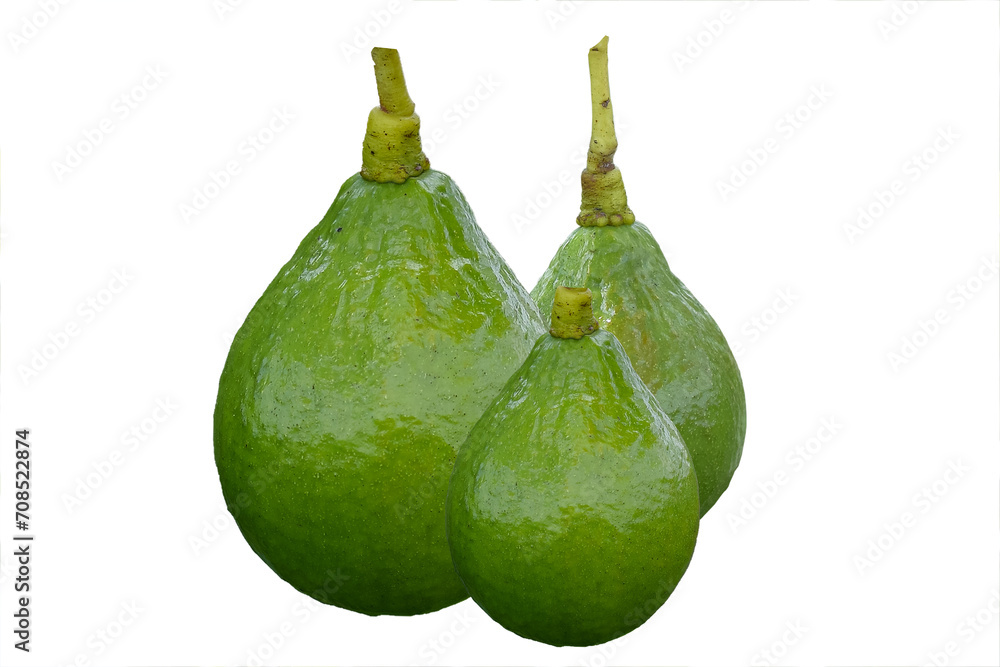 Green avocado fruit isolated on white background, ripe avocado