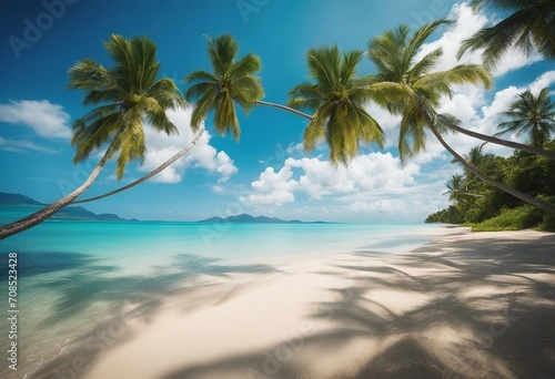 Beautiful palm tree on tropical island beach on background blue sky with white clouds and turquoise