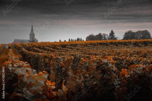 vignoble belge