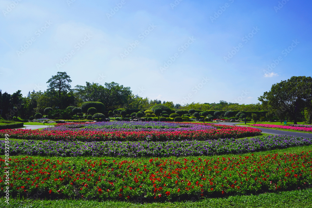 Decorate the garden with round shrubs and various beautiful flowering plants.