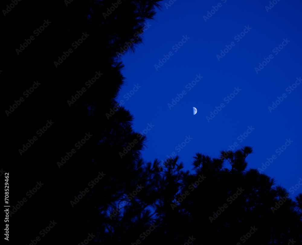 Selective focus photo of half moon with blue sky. Selective focus photo of half moon with blue sky.
