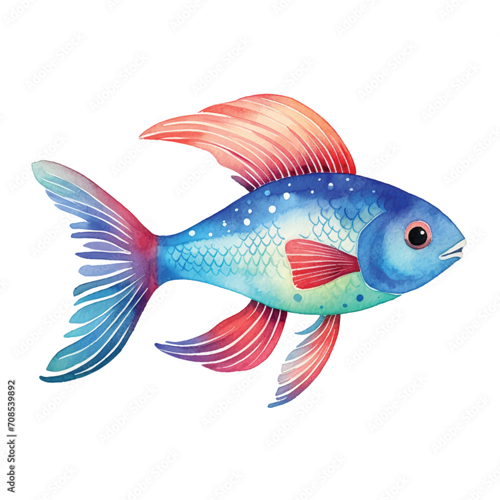 Platy fish colors orange and white koi fish white cloudy aquarium water royal blue halfmoon betta grill different color goldfish red blood fish yellow betta fin beautiful colour fish