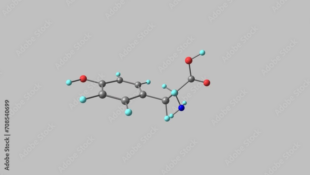 Tyrosine molecule rotating video Full HD Tyrosine molecule rotating video Full HD