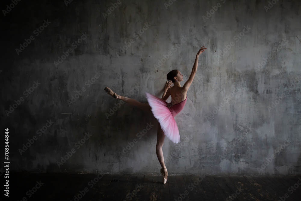 Ballerina in a tutu in a ballet pose.