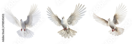 Set of Flying Dove isolated on transparent or white background © MaxSimplify