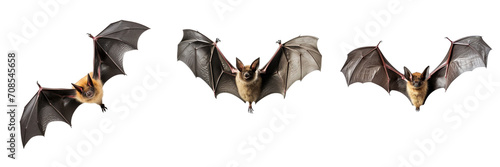 Set of Flying bat isolated on transparent or white background