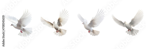 Set of Flying Dove isolated on transparent or white background © MaxSimplify