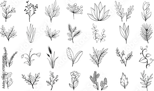 Vector set of hand drawn flowers