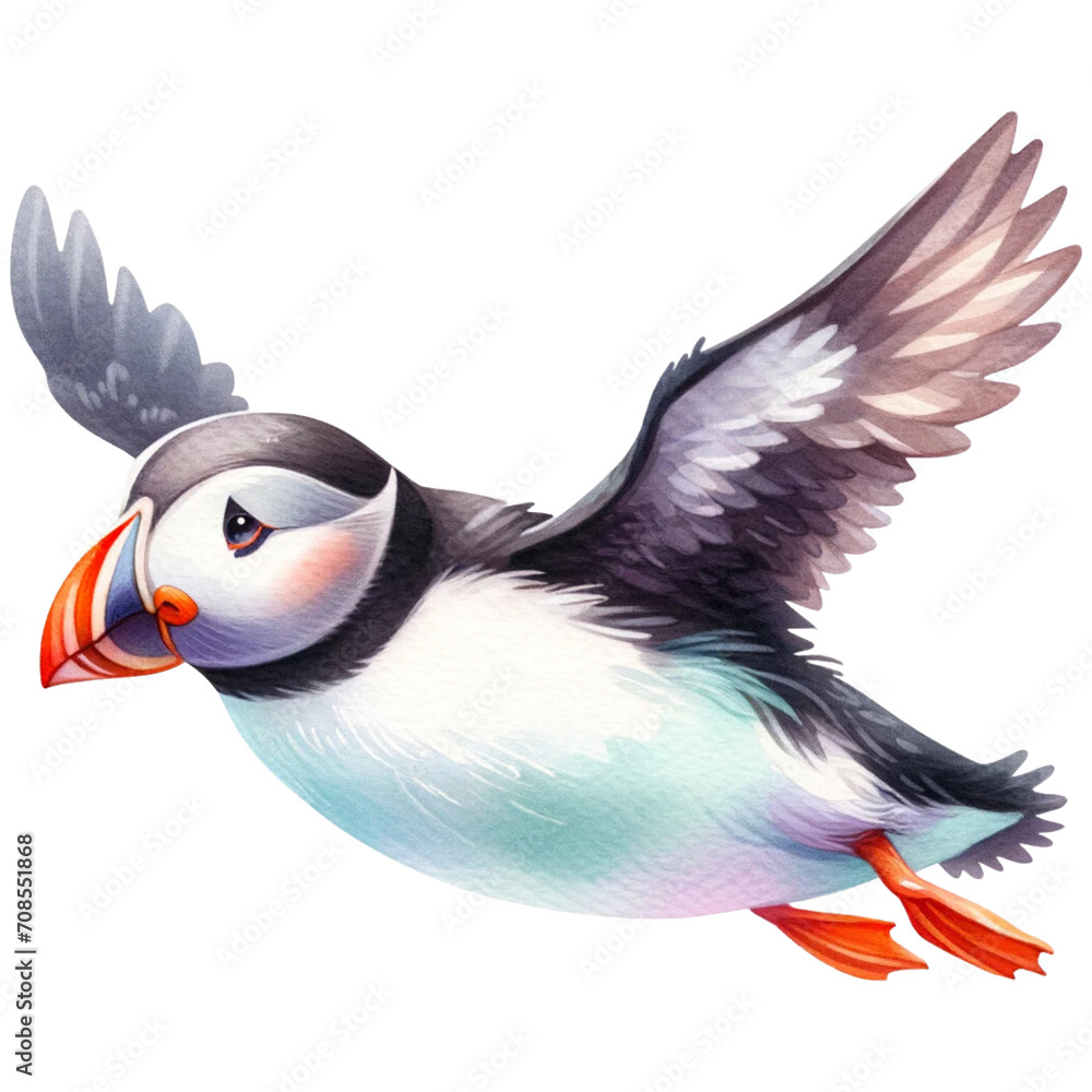 Naklejka premium atlantic puffin bird
