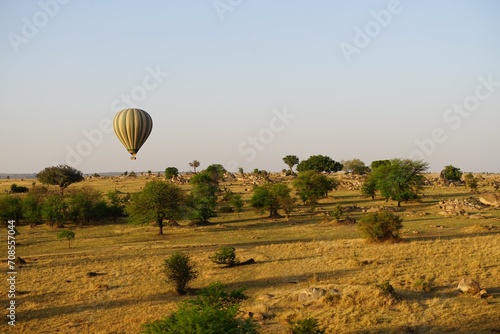 african wilderness, hot air balloon, landscape