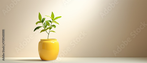 A soft yellow background highlights a yellow vase with a potted plant.