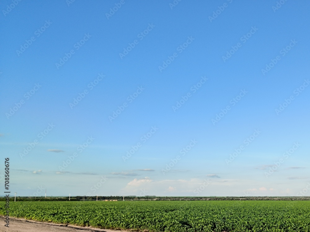 Obraz premium Lavouras