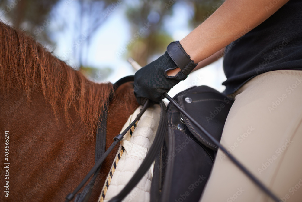 Equestrian, bridle and hands closeup on horse for riding adventure and journey in countryside. Ranch, animal and rider outdoor with hobby, sport or person training a pet on farm in summer environment