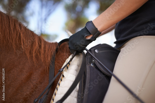 Equestrian, bridle and hands closeup on horse for riding adventure and journey in countryside. Ranch, animal and rider outdoor with hobby, sport or person training a pet on farm in summer environment