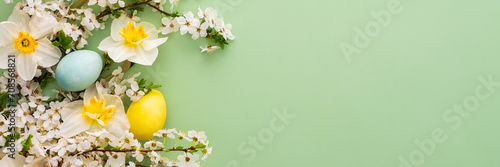 Festive banner with spring flowers and Easter eggs, white daffodils and cherry blossom branches on a green pastel background photo