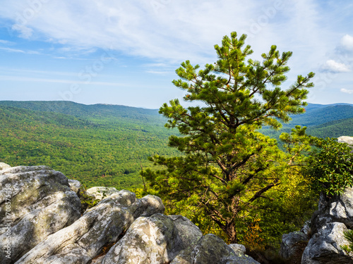 A pine tree and rocks in the foreground with the wide wilderness region behind at Tibbet Knob in the George Washington National Forest in  Virginia, USA.