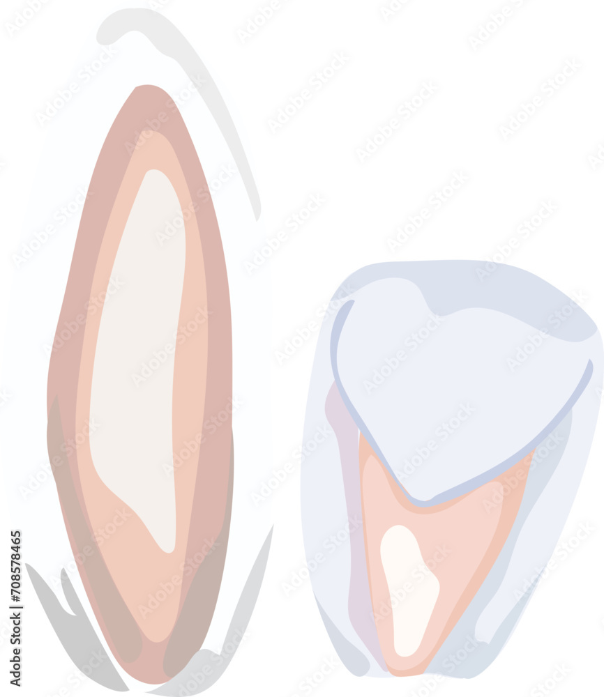 Cute happy easter element illustration on transparent background. Cute happy easter element illustration on transparent background.