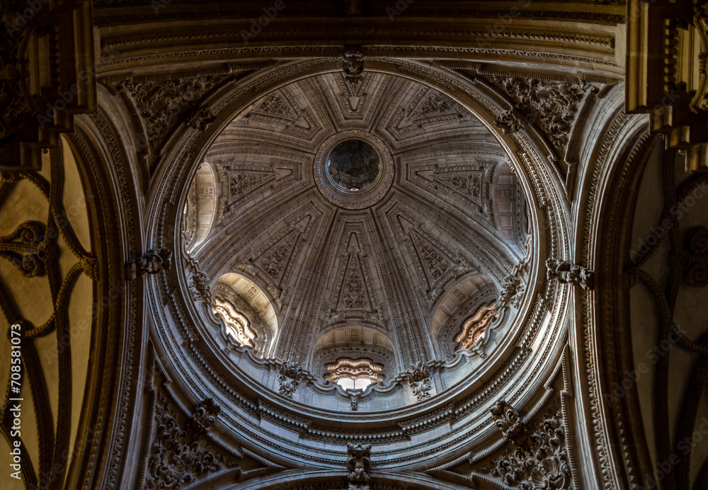 Interior detail of Guadix Cathedral, Spain