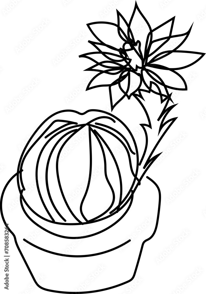 Hand drawn succulent plant illustration on transparent background.
Hand drawn succulent plant illustration on transparent background.