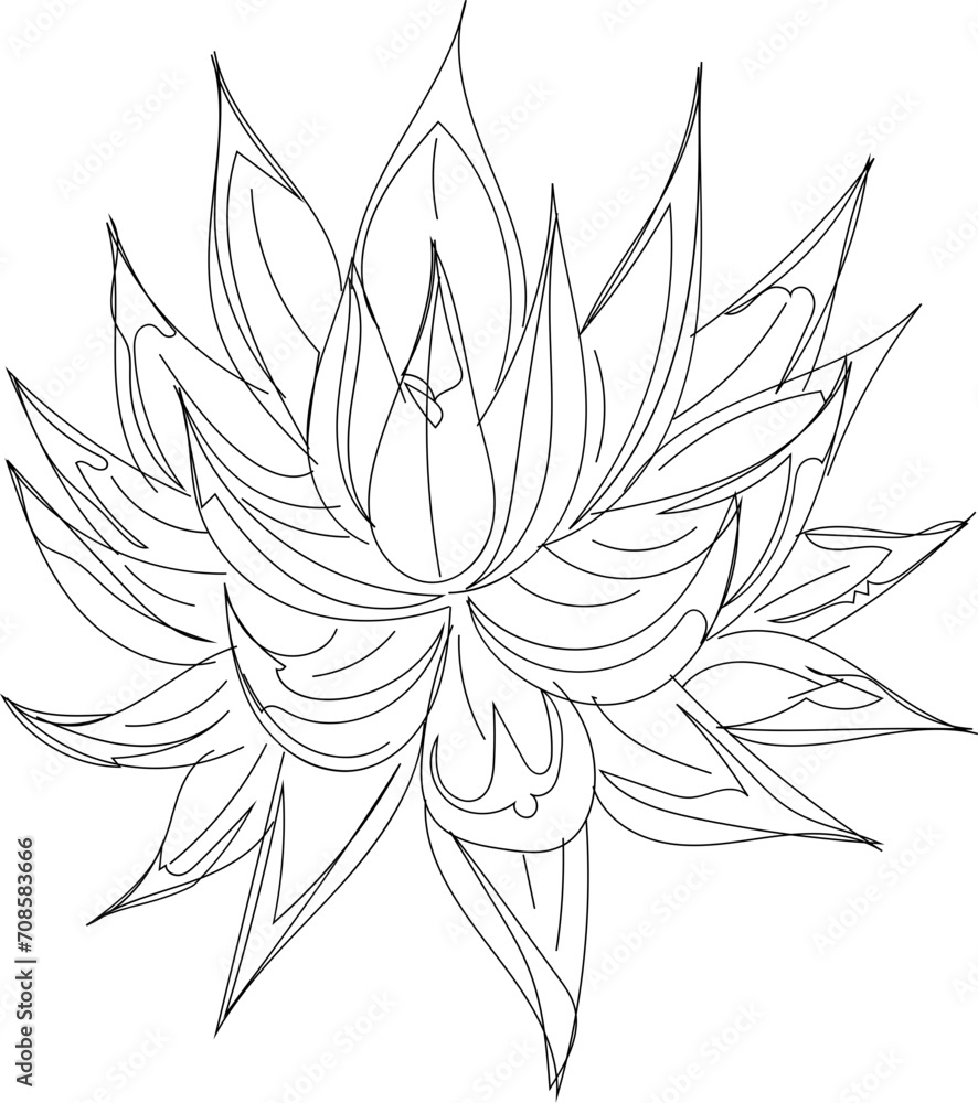 Hand drawn succulent plant illustration on transparent background.
Hand drawn succulent plant illustration on transparent background.