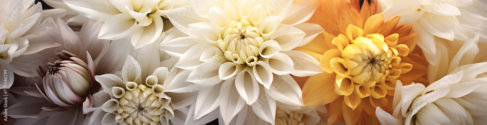 Colorful flowers on the white surface, in the style of light yellow and light gold, tonal variations in color, photographic montage, dark white and white, natural symbolism, lightbox, diverse color pa Colorful flowers on the white surface, in the style of light yellow and light gold, tonal variations in color, photographic montage, dark white and white, natural symbolism, lightbox, diverse color pa