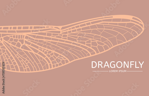 Detailed close-up view of a dragonfly wing. Horizontal banner design, lace patterns of insect wing. Nature and wildlife banner. Place for text.