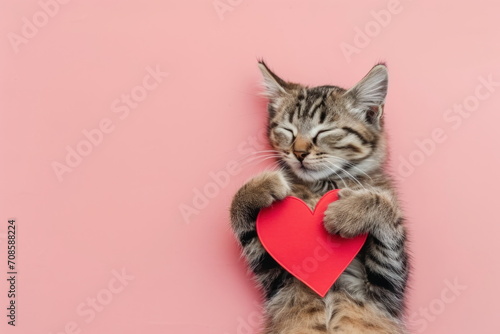 Cute tabby kitten hugging a paper red heart. Cat lying on a back on pink background in top view. Love concept for Valentine's Day. Banner, ad, billboard for animal shelter, veterinary clinic photo