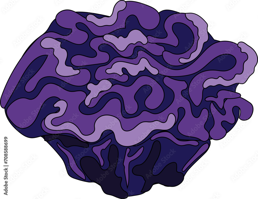 Hand drawn coral illustration on transparent background.
Hand drawn coral illustration on transparent background.