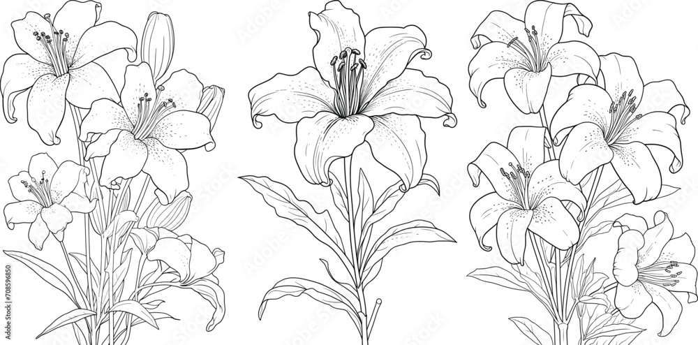 Hand-drawn line art set of beautiful black and white flowers, floral illustration coloring page Hand-drawn line art set of beautiful black and white flowers, floral illustration coloring page