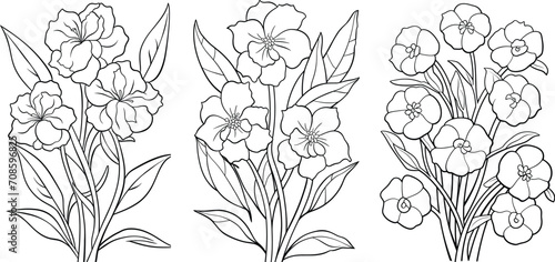 Hand-drawn line art set of beautiful black and white flowers, floral illustration coloring page